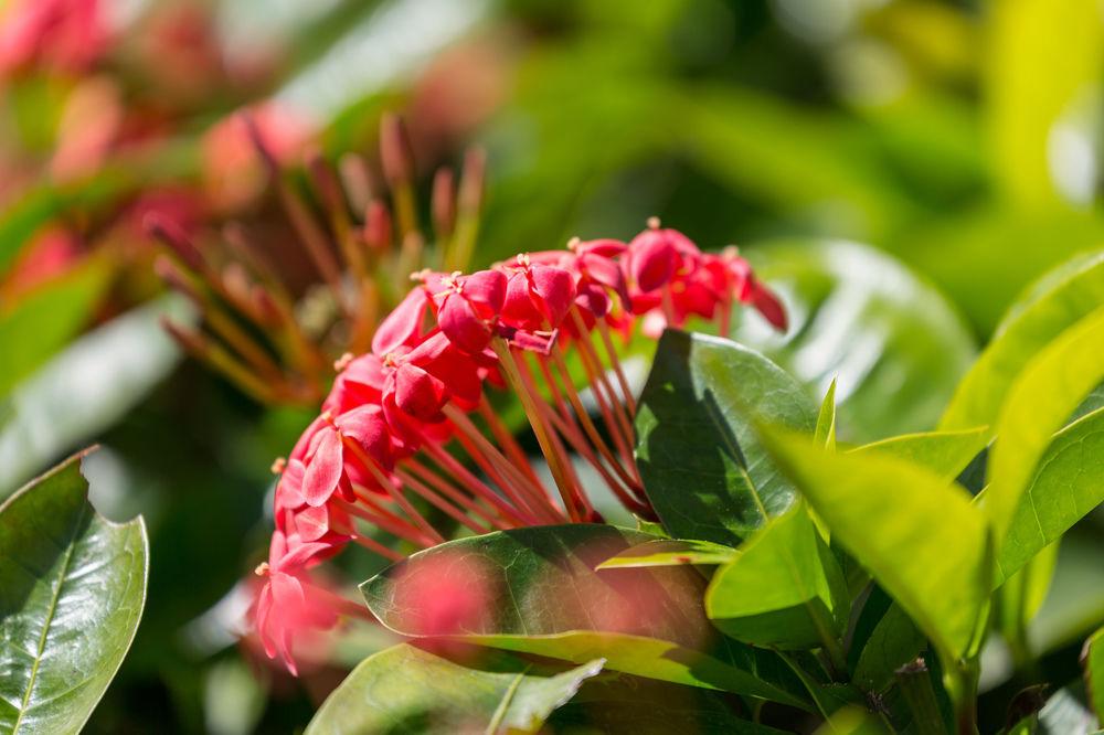 Courtyard By Marriott Waikiki Beach Honolulu Buitenkant foto