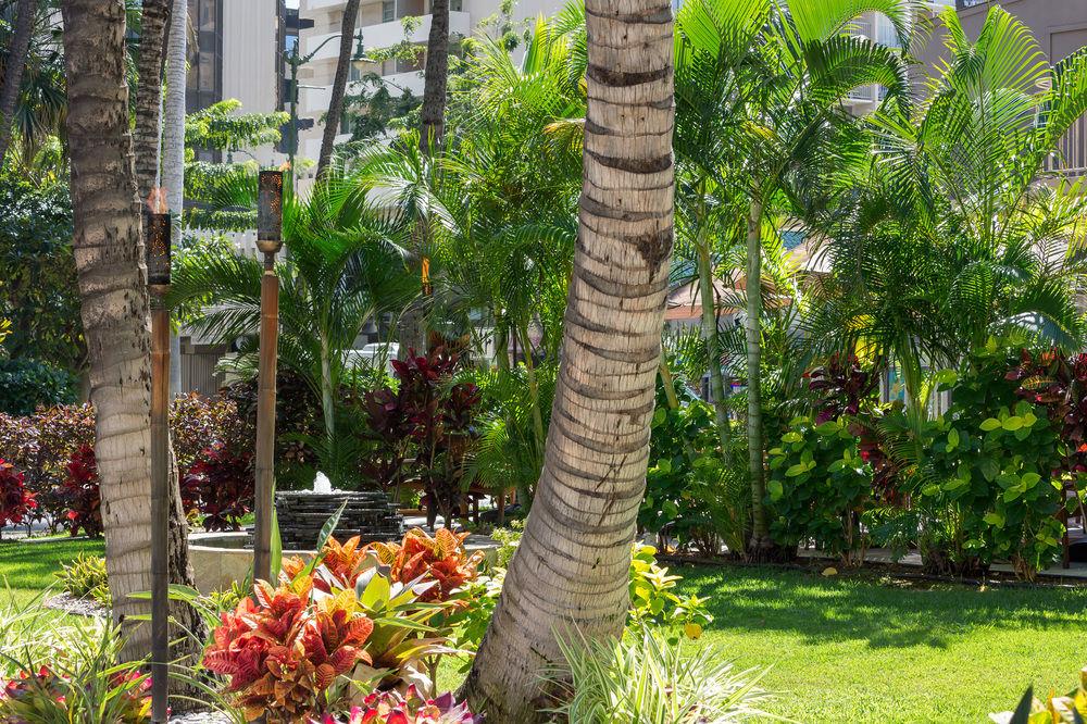Courtyard By Marriott Waikiki Beach Honolulu Buitenkant foto